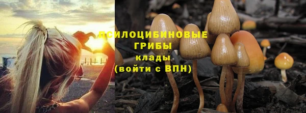 эйфоретик Новокубанск